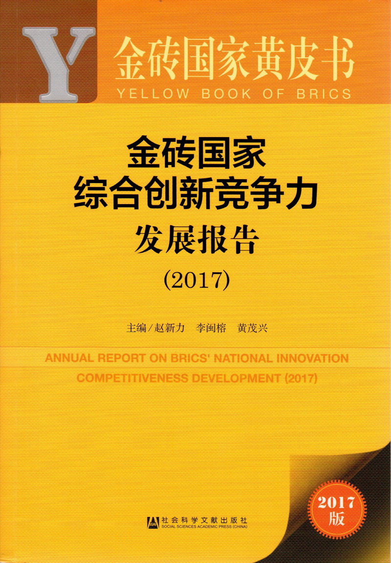 老头大黑鸡巴操操老太太肥逼金砖国家综合创新竞争力发展报告（2017）